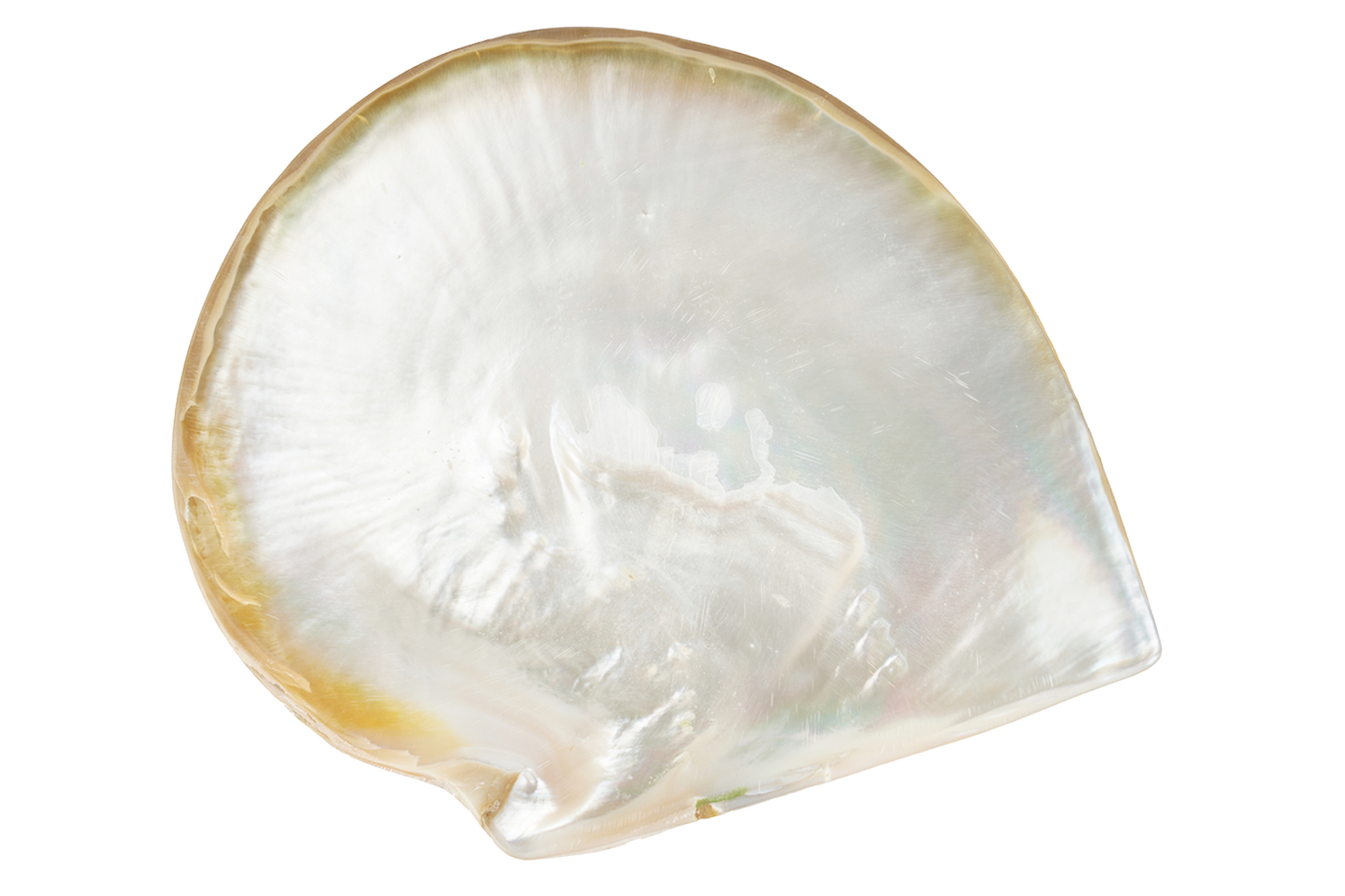 Natural Plate