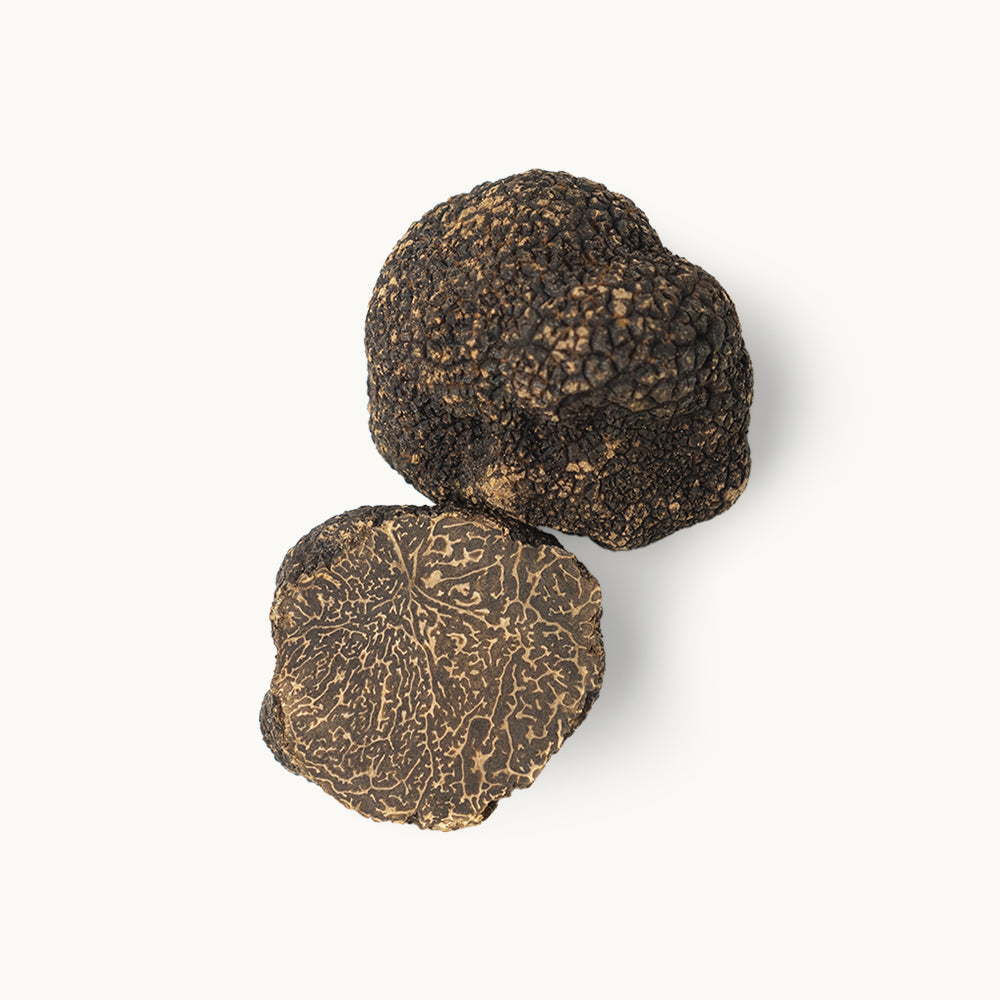 Perigord Black Winter Truffles