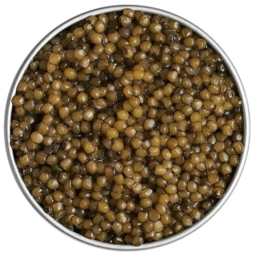 Gold Osetra