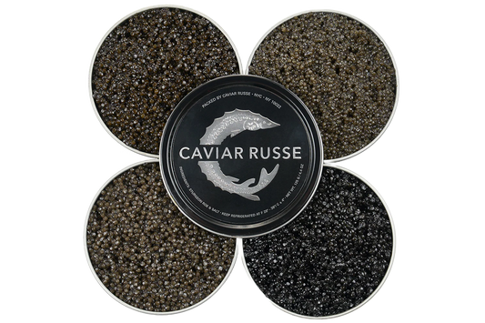 Introduction Signature