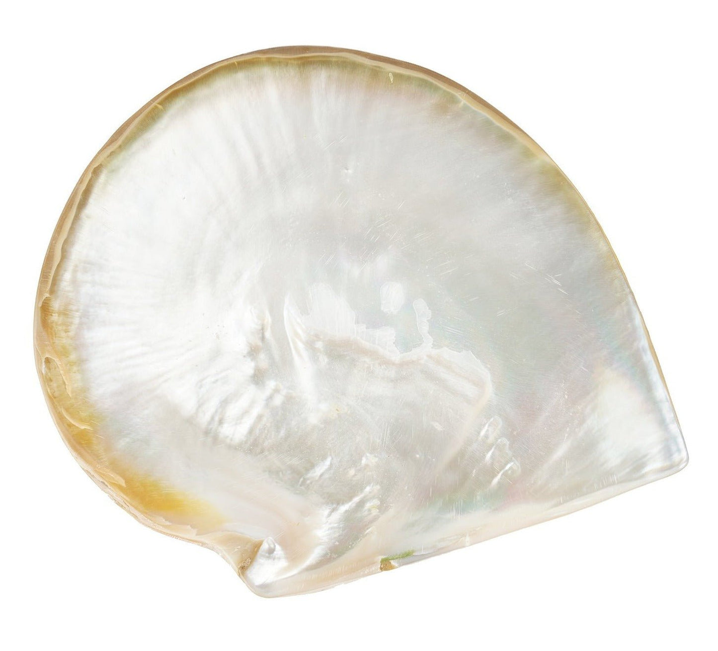 8-Inch Natural Plate - Caviar Russe