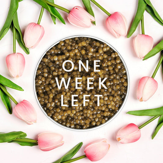 Just one week left! - Caviar Russe