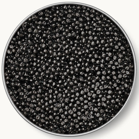 Caviar Russe Pacific Sturgeon