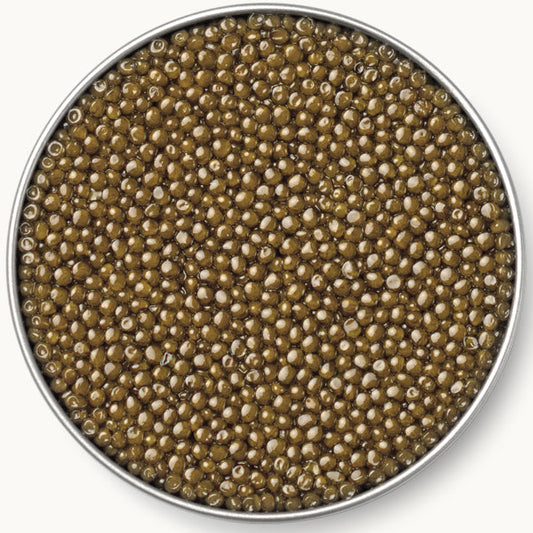 Caviar Russe Platinum Osetra Caviar 1