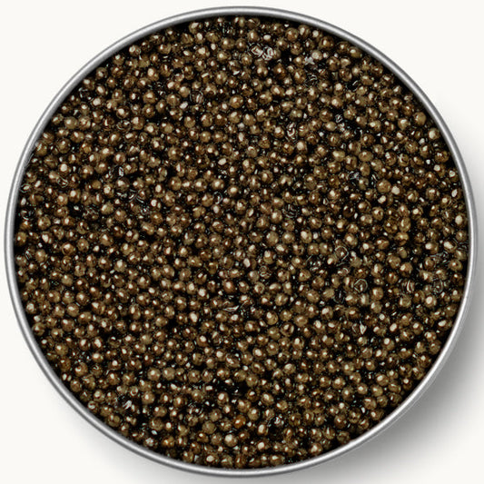 Caviar Russe Sevruga Caviar.1