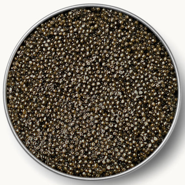 Caviar Russe Sterlet Caviar