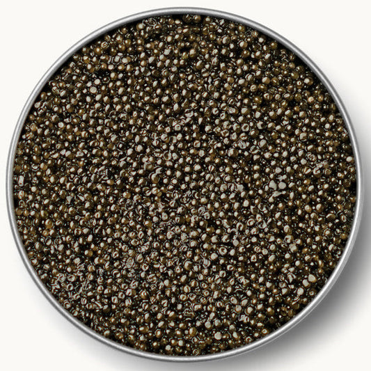 Caviar Russe Sterlet Caviar