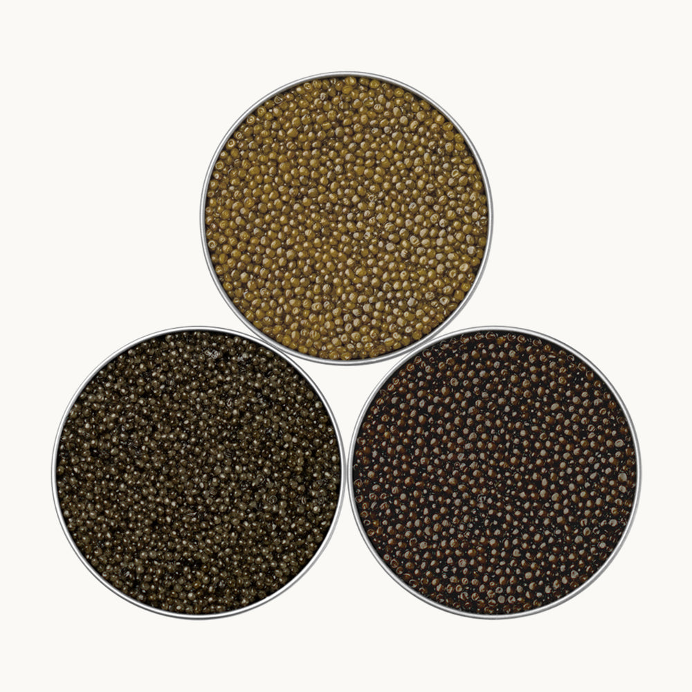 Distinction Caviar 