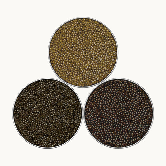 Distinction Caviar 
