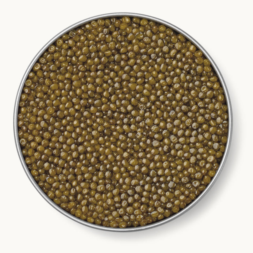Gold Osetra Caviar by Caviar Russe