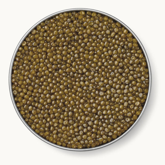 Gold Osetra Caviar by Caviar Russe
