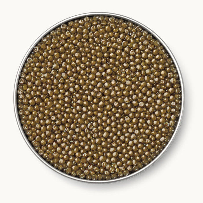 Platinum Osetra by Caviar Russe