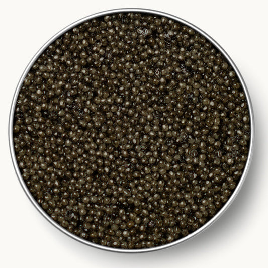 Sevruga Sturgeon Caviar