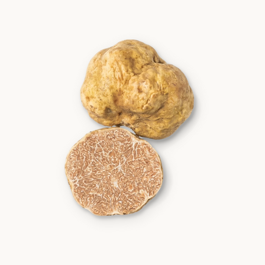 Piedmont Alba White Truffles