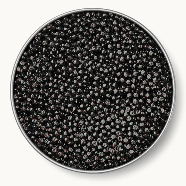 pacific white sturgeon caviar