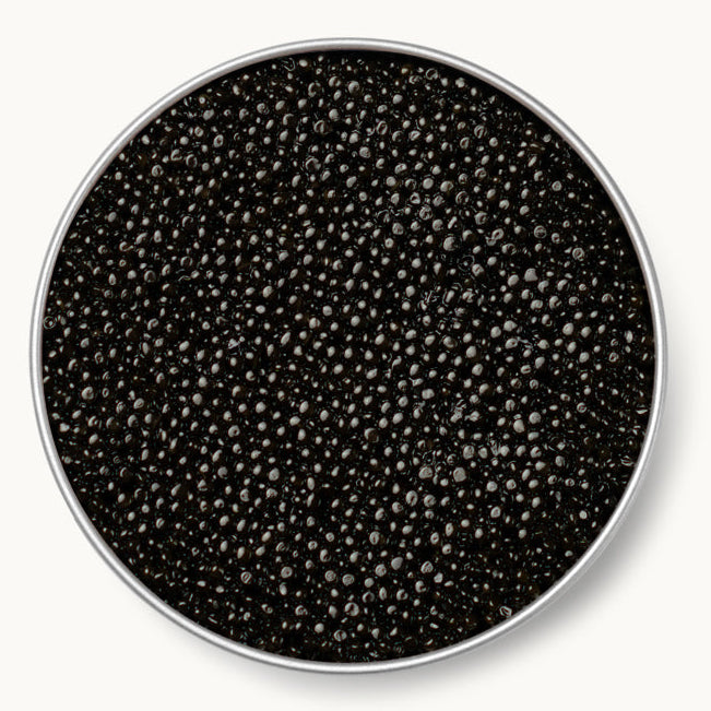 siberian sturgeon caviar