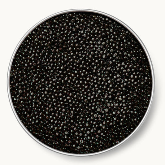 siberian sturgeon caviar