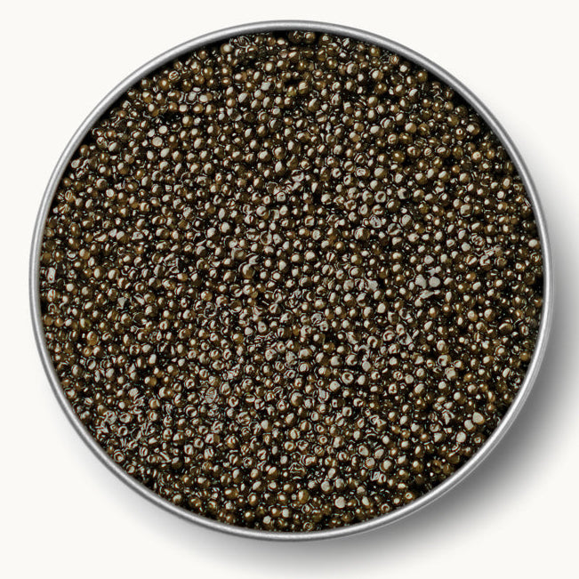 sterlet sturgeon caviar