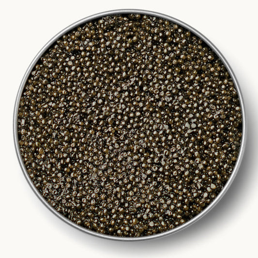 sterlet sturgeon caviar