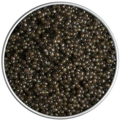 Sevruga - Caviar Russe