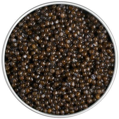 Siberian Sturgeon - Caviar Russe